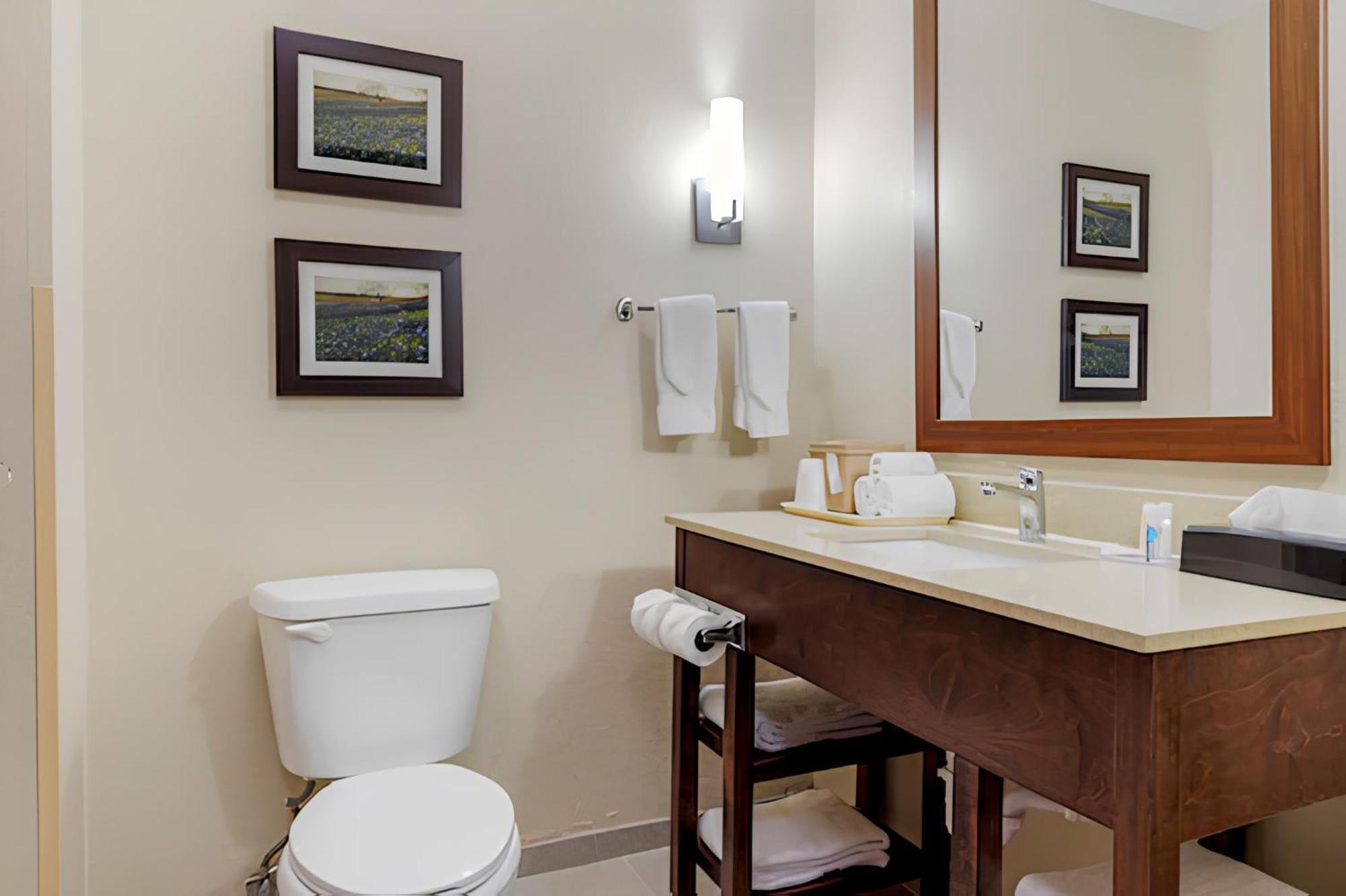 Comfort Suites Benbrook Esterno foto